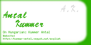 antal kummer business card